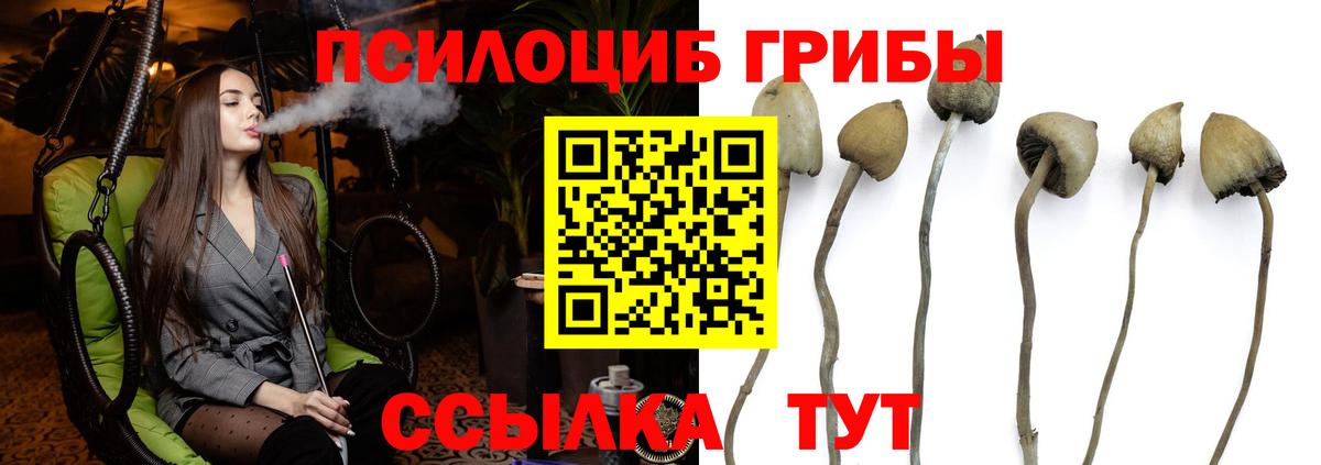 Псилоцибиновые грибы MAGIC MUSHROOMS Ноябрьск