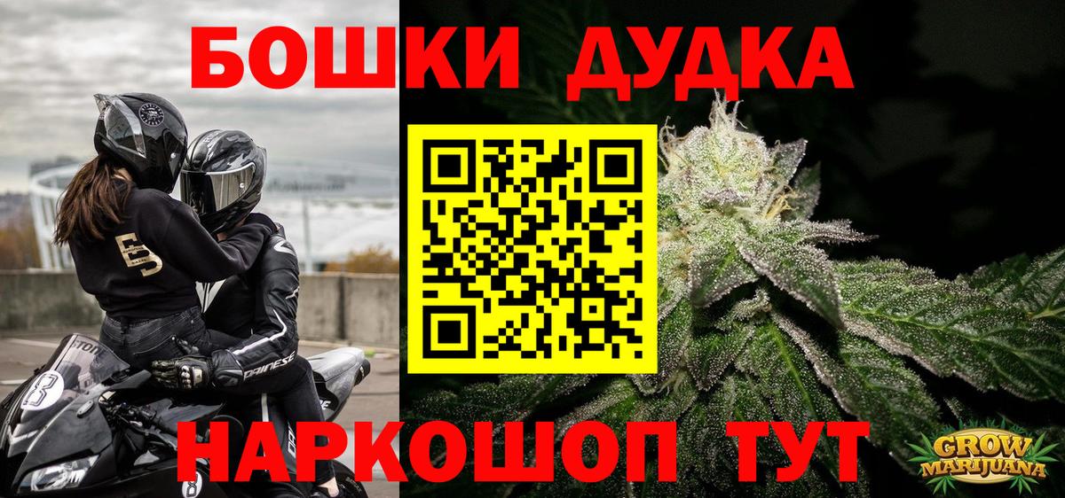 Конопля Amnesia  Марихуана план  Вход с VPN  МАРИХУАНА LSD WEED  Ноябрьск 
